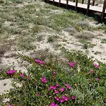 Villa Starlight Vista Mare La Caletta *