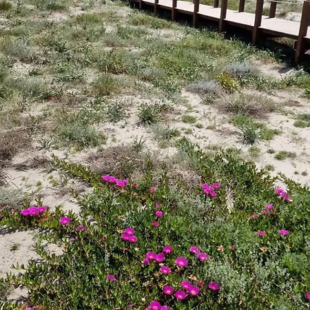Βίλα Starlight Vista Mare La Caletta *